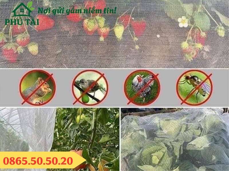 Lưới Chắn Côn Trùng