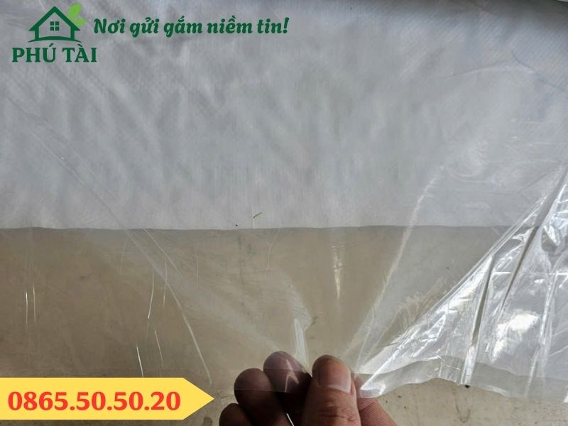 Màng PE Lót Sàn Đổ Bê Tông